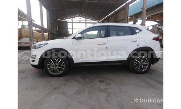 Buy Import Hyundai Tucson White Car in Import - Dubai in Antigua Buy Import Hyundai Tucson White Car in Import - Dubai in Antigua