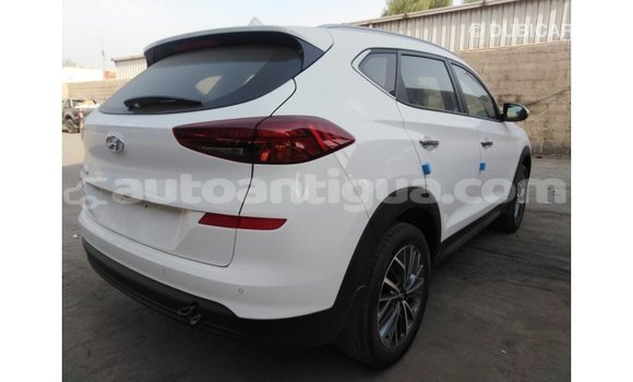 Buy Import Hyundai Tucson White Car in Import - Dubai in Antigua Buy Import Hyundai Tucson White Car in Import - Dubai in Antigua
