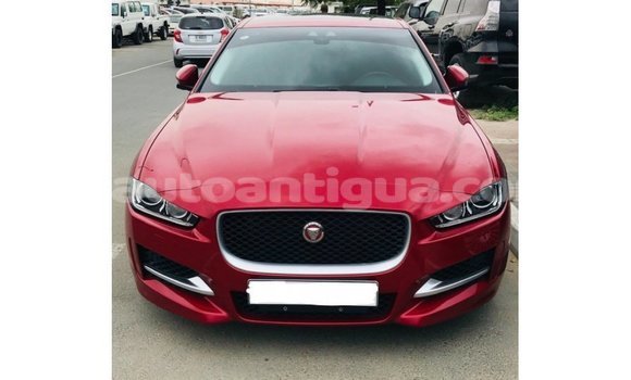 Buy Import Jaguar XE Red Car in Import - Dubai in Antigua