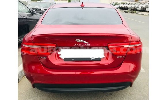 Buy Import Jaguar XE Red Car in Import - Dubai in Antigua Buy Import Jaguar XE Red Car in Import - Dubai in Antigua
