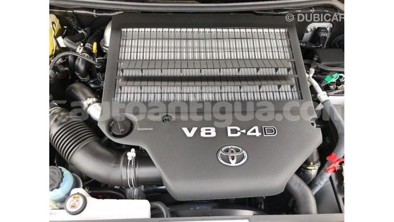 Big with watermark eb75e0f8 d9a2 4d06 89ce 0bb834d934f0