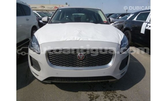 Buy Import Jaguar E-Pace White Car in Import - Dubai in Antigua Buy Import Jaguar E-Pace White Car in Import - Dubai in Antigua