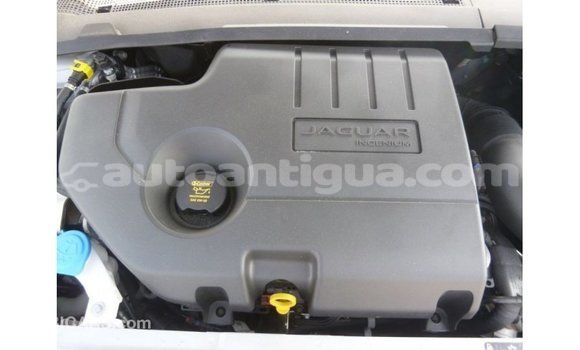 Buy Import Jaguar E-Pace White Car in Import - Dubai in Antigua Buy Import Jaguar E-Pace White Car in Import - Dubai in Antigua